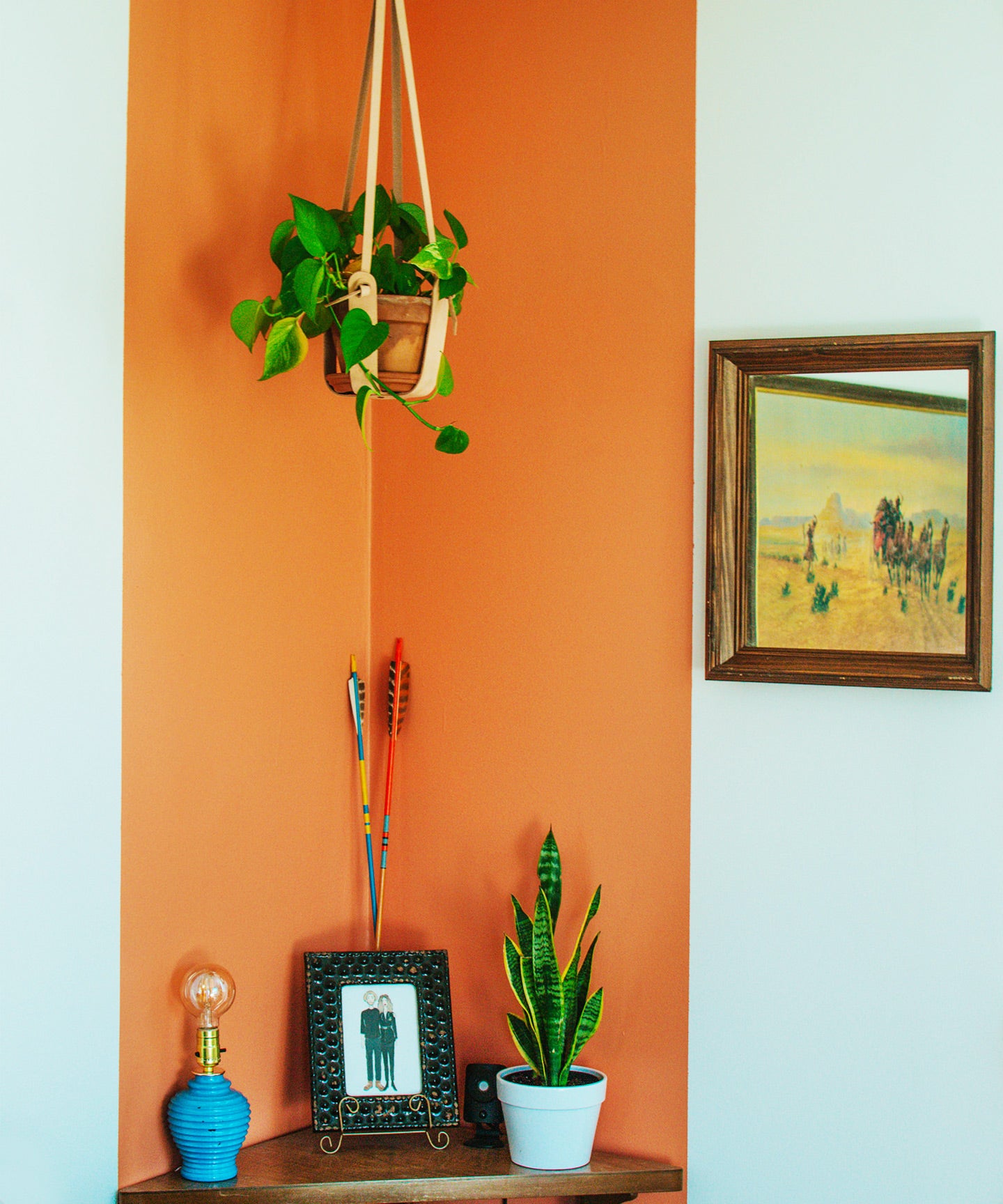 3 Creative Ways to hang a Plant Hanger